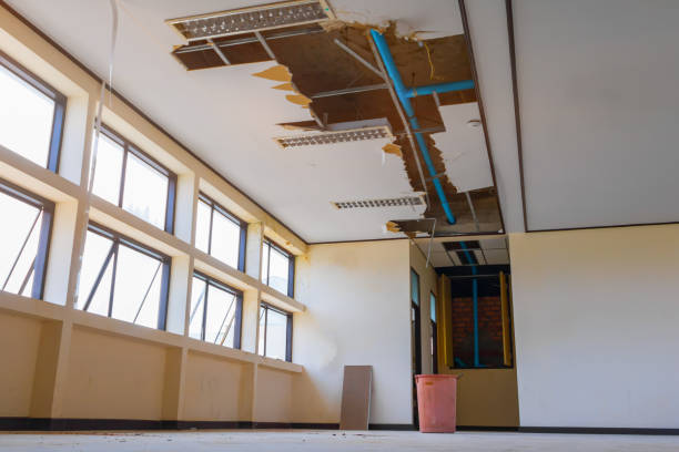 Best Carpet water damage restoration  in Houserville, PA