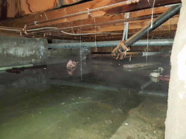 Best 24-hour water damage restoration  in Houserville, PA