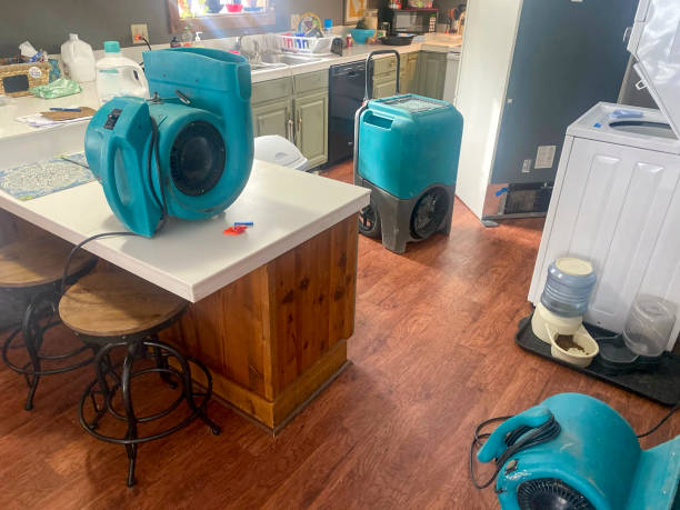 Best Water damage cleanup near me  in Houserville, PA