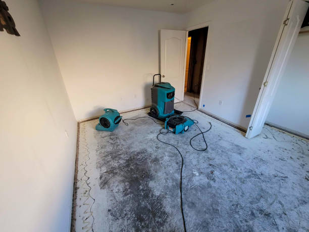Best Water damage restoration near me  in Houserville, PA
