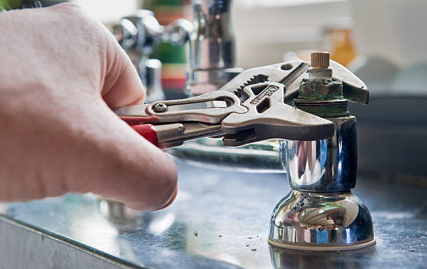 Best Mold removal after water damage  in Houserville, PA