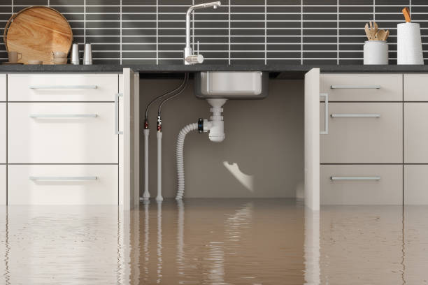 Best Water damage restoration insurance claims  in Houserville, PA